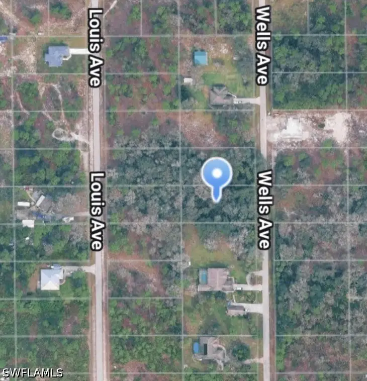 1013 Wells Avenue, Lehigh Acres, FL 33972 - #1