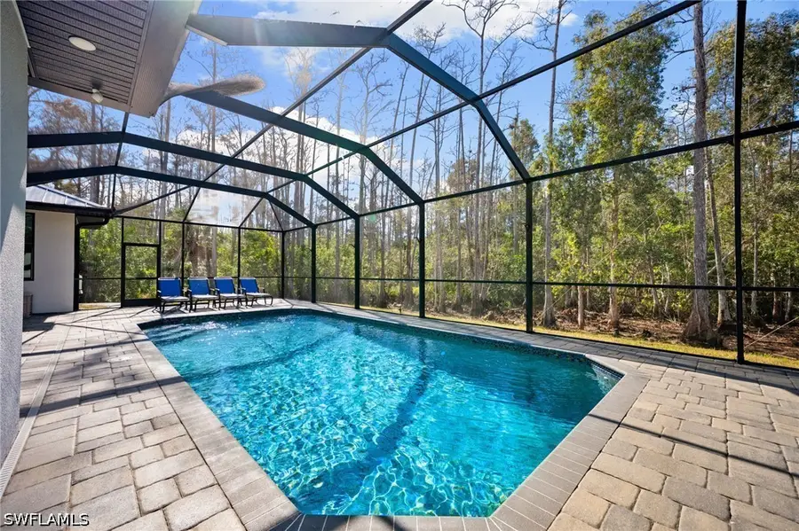 25526 Busy Bee Drive, Bonita Springs, FL 34135 - #2