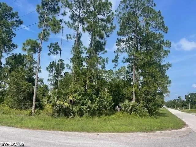 1010 Manikin Avenue S, Lehigh Acres, FL 33974 - #2