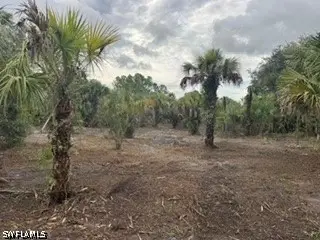 xx 37th Avenue Nw, Naples, FL 34120