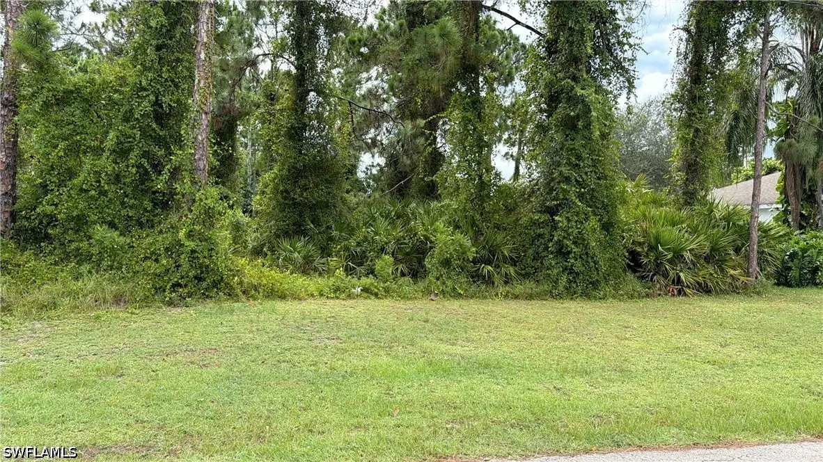 626 Flamingo Avenue S, Lehigh Acres, FL 33974 - #1