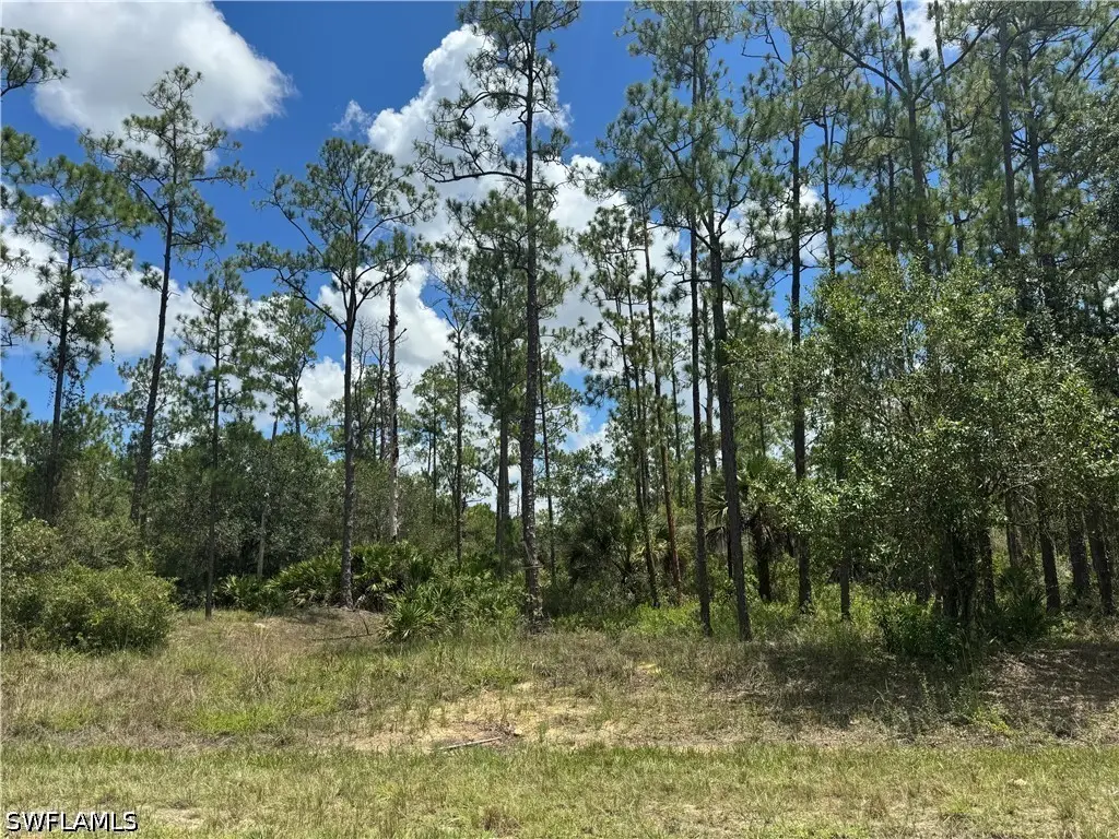1410 Glenn Avenue, Lehigh Acres, FL 33972 - #1