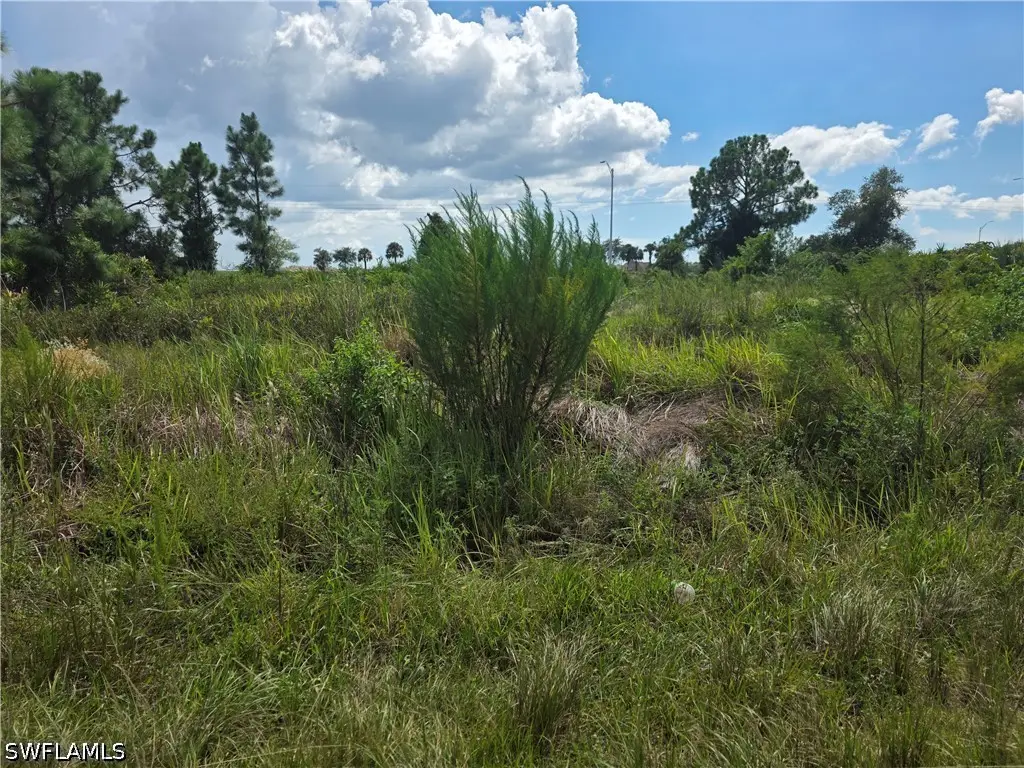 3046 Meadow Road, Lehigh Acres, FL 33974 - #1