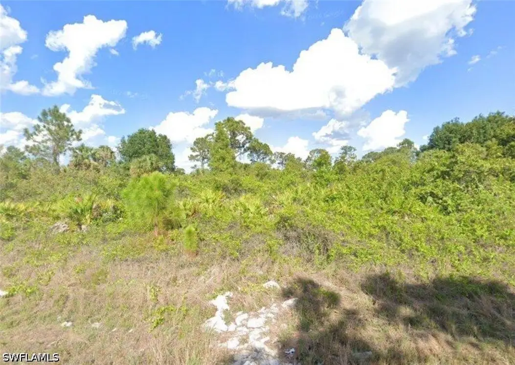 551 Barranger Avenue S, Lehigh Acres, FL 33974 - #1