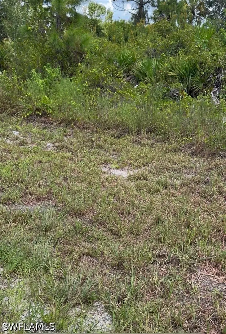 551 Barranger Avenue S, Lehigh Acres, FL 33974 - #2