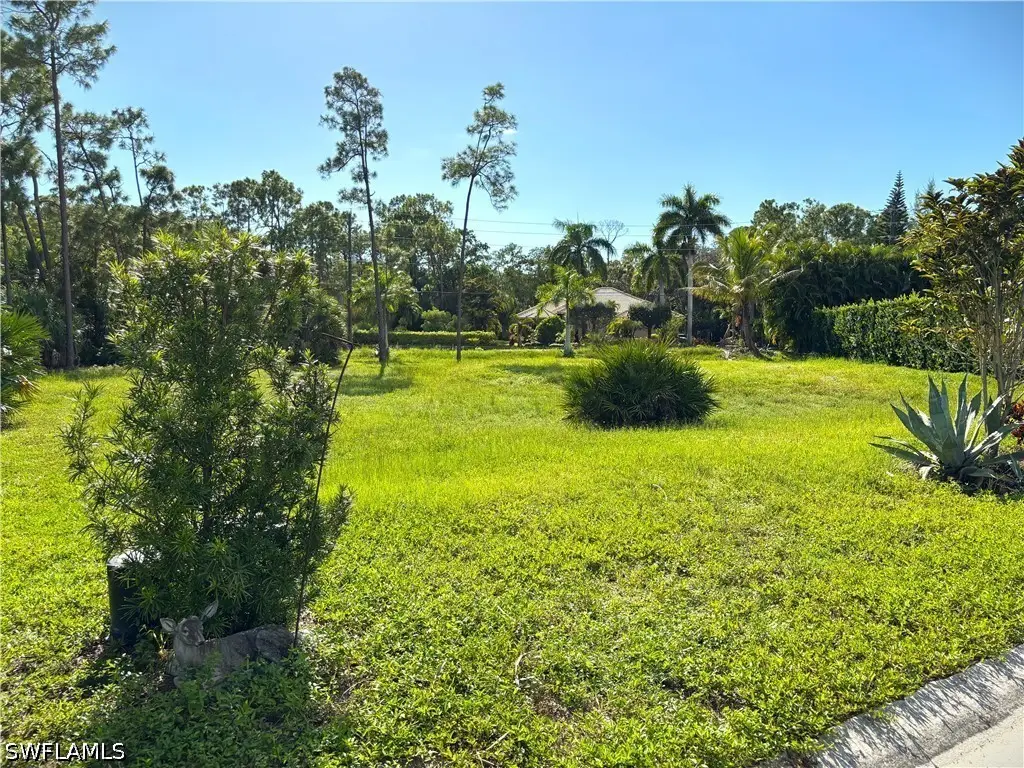 10024 Hidden Pines Lane, Bonita Springs, FL 34135 - #1