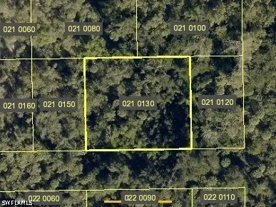 Santiago Street, Estero, FL 34134