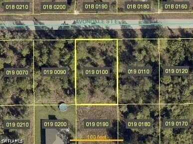 896 Avondale Street E, Lehigh Acres, FL 33974 - #1