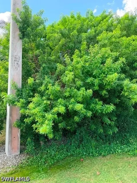 Danford Street, Naples, FL 34112 - #3