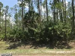 3530 5th Avenue Sw, Naples, FL 34117