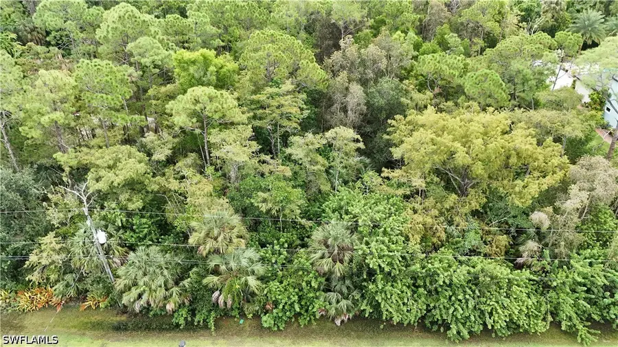 24509 Red Robin Drive, Bonita Springs, FL 34135 - #3