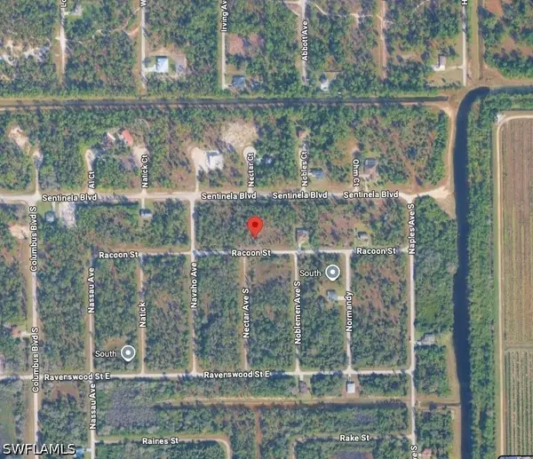 1229 Racoon Street E, Lehigh Acres, FL 33974