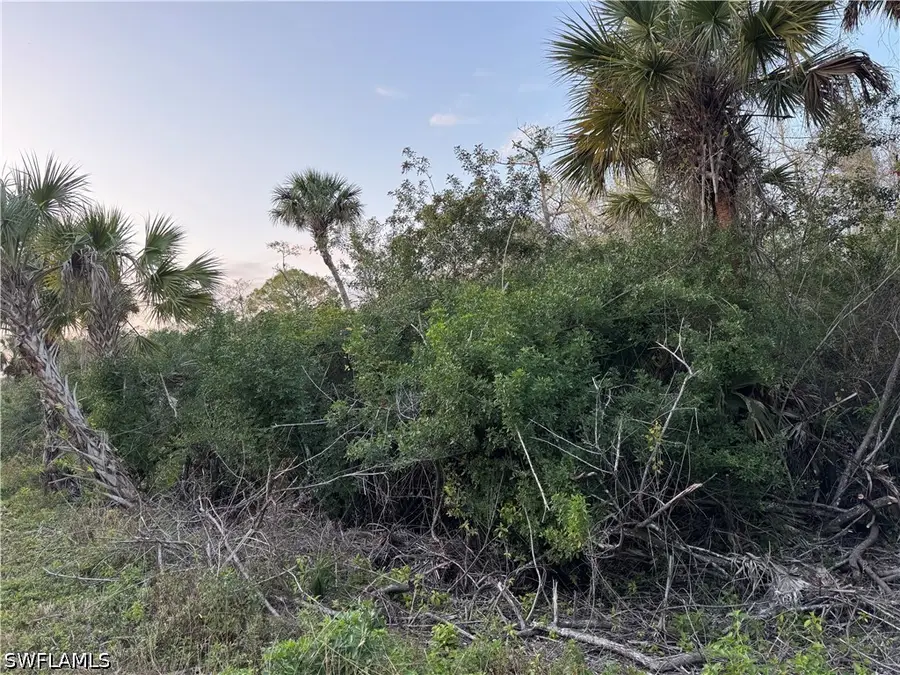 4187 36th Avenue Se, Naples, FL 34117 - #2