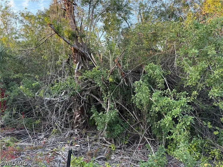 4187 36th Avenue Se, Naples, FL 34117 - #3