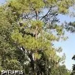 4th Avenue Se, Naples, FL 34120 - #1