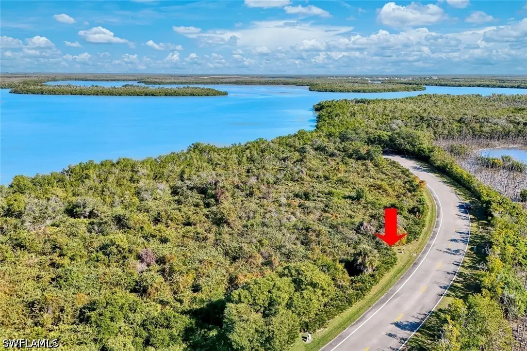 1011 Blue Hill Creek Drive, Marco Island, FL 34145 - #1