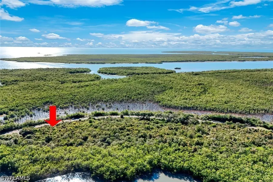 1011 Blue Hill Creek Drive, Marco Island, FL 34145 - #3