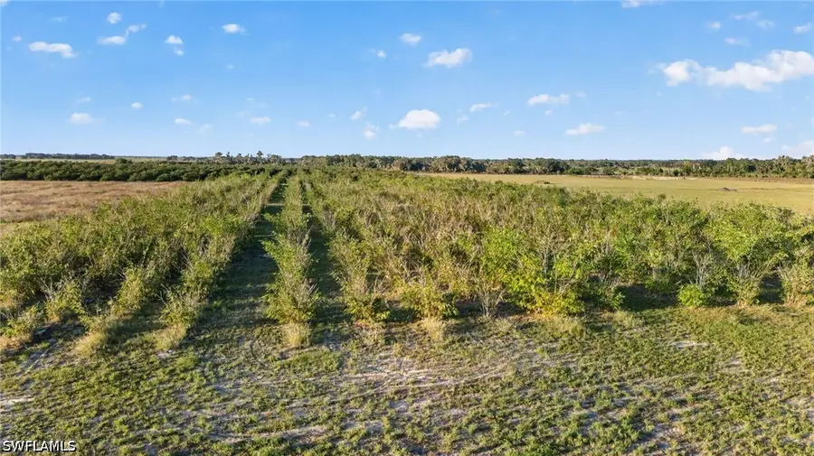 0 Lake Hendry Road, Bartow, FL 33830 - #3