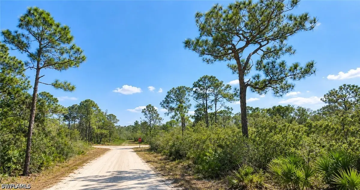 1204 Vesper Sparrow Avenue, Lake Placid, FL 33852 - #1