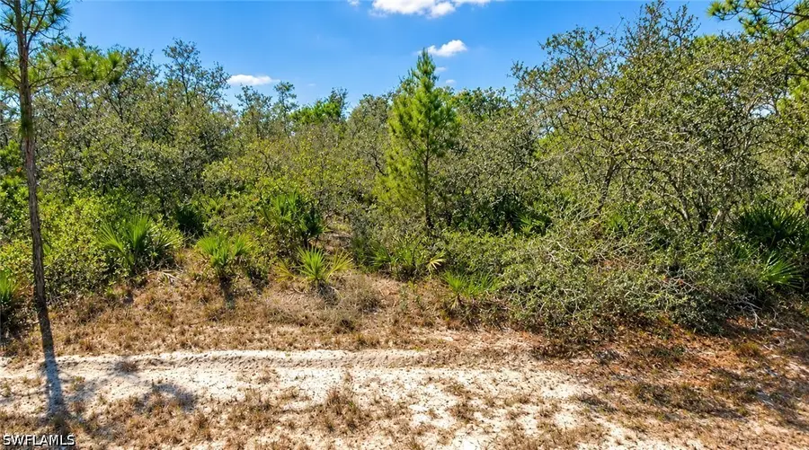 1204 Vesper Sparrow Avenue, Lake Placid, FL 33852 - #2