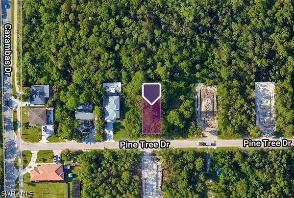 3013 Pine Tree Drive, Naples, FL 34112