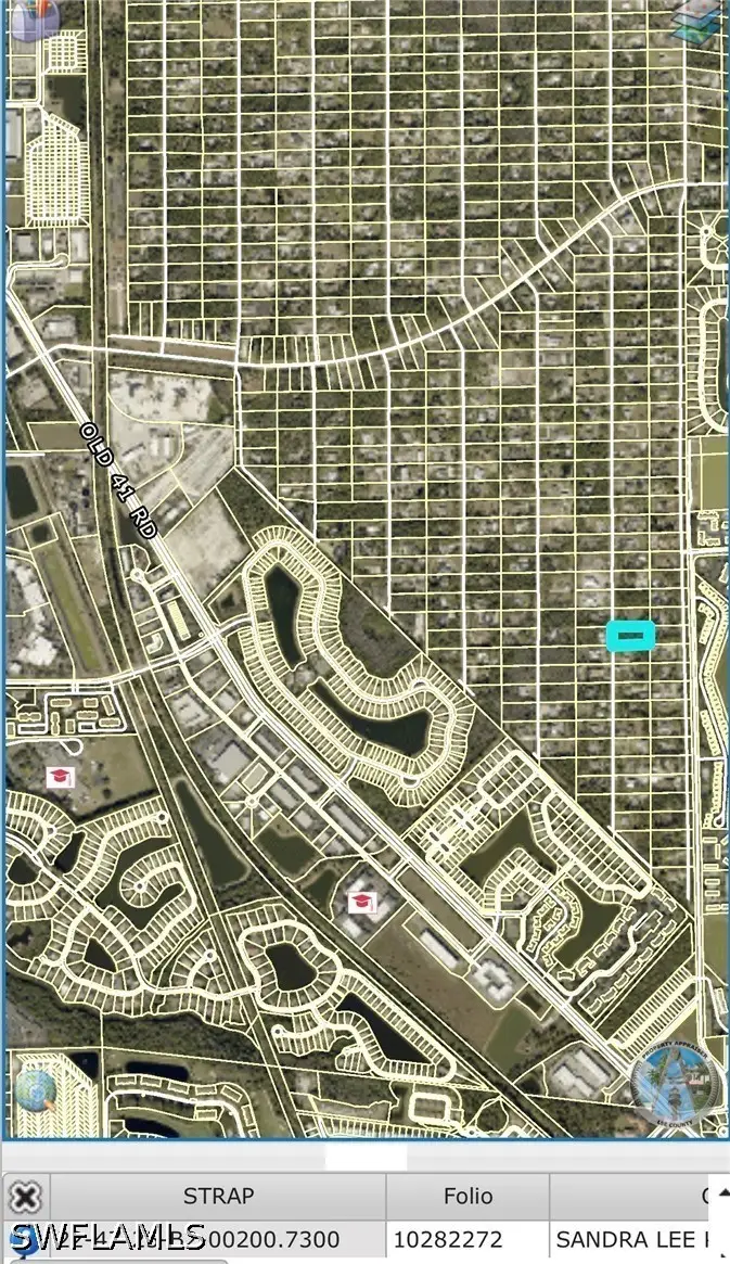 25461 Luci Drive, Bonita Springs, FL 34135 - #2