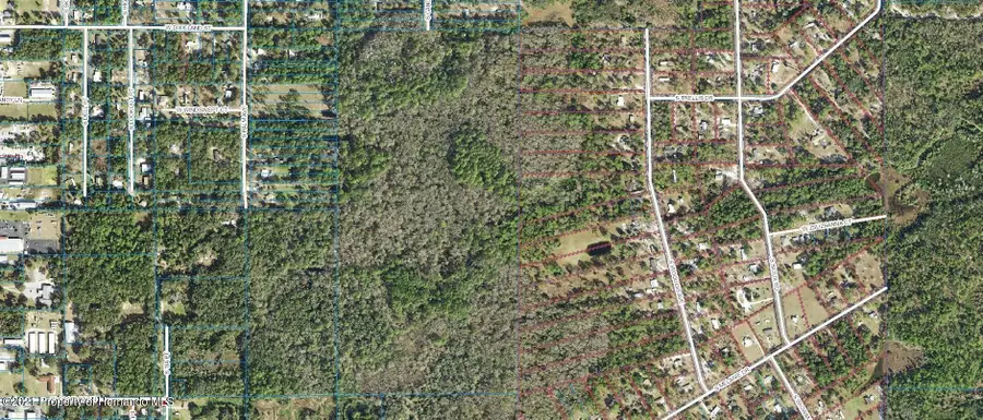 1500 S Candlenut &1627 S Palm Ave, Homosassa, FL 34448 - Image #2