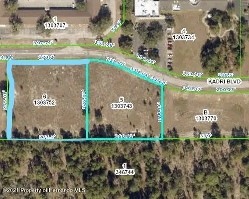 12160 Kadri Boulevard, Spring Hill, FL 34608