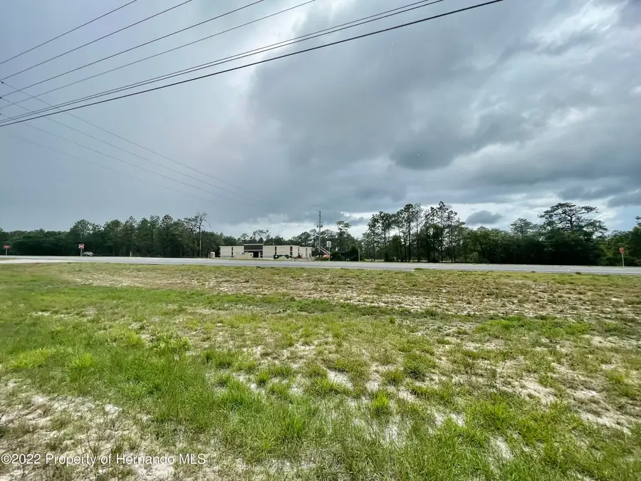 17160 Nicasio Jay Avenue, Weeki Wachee, FL 34614 - Image #3