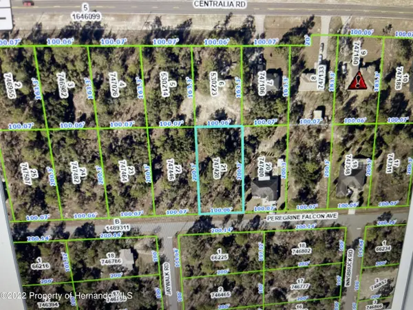 0 Peregrine Falcon Avenue, Weeki Wachee, FL 34614