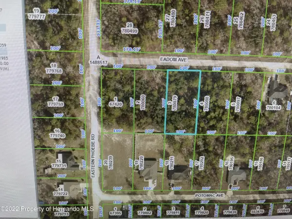 9 Eadom Avenue, Weeki Wachee, FL 34614