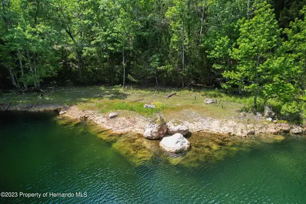 9986 New Hope Court, Floral City, FL 34436