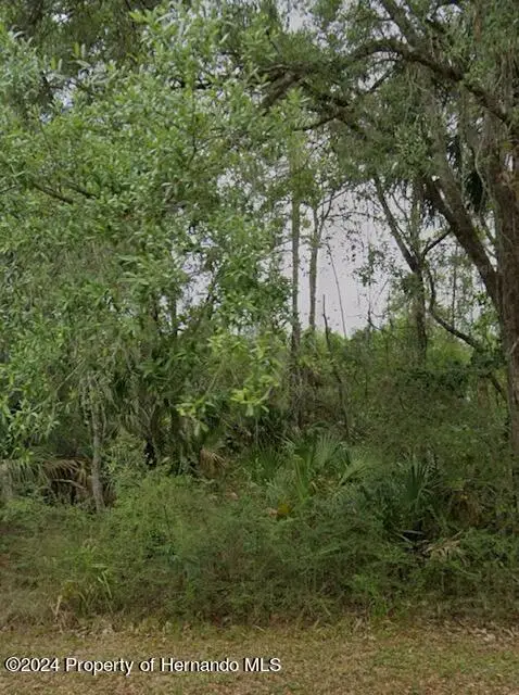 #3