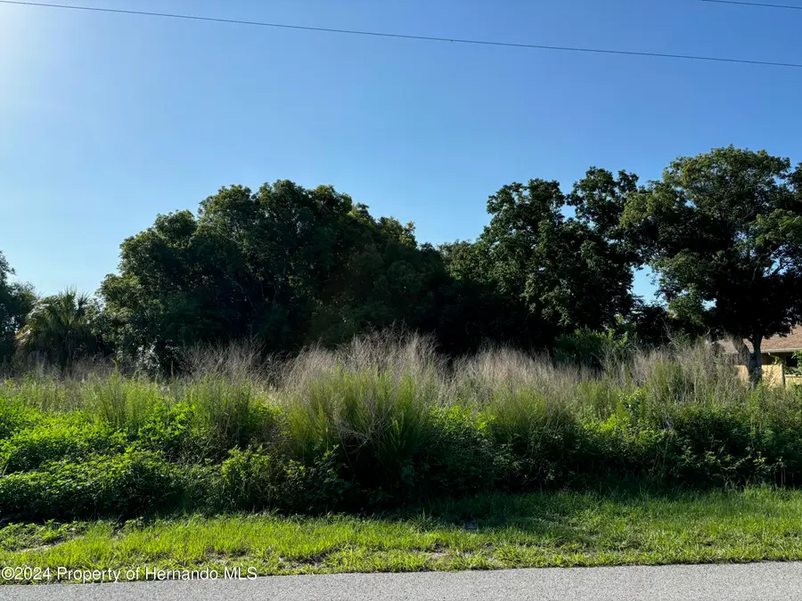 9004 Beach Road, Spring Hill, FL 34606 - #3