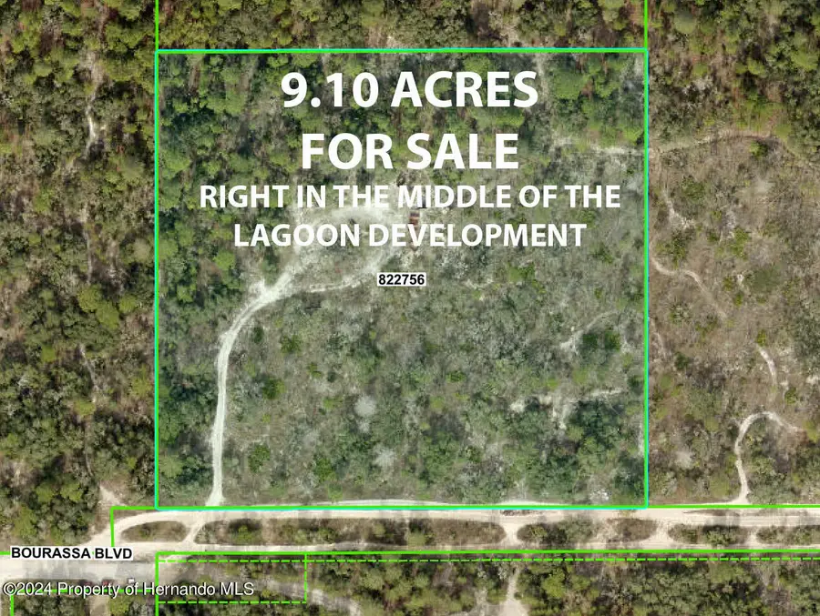 11011 Bourassa Boulevard, Weeki Wachee, FL 34613 - Image #2