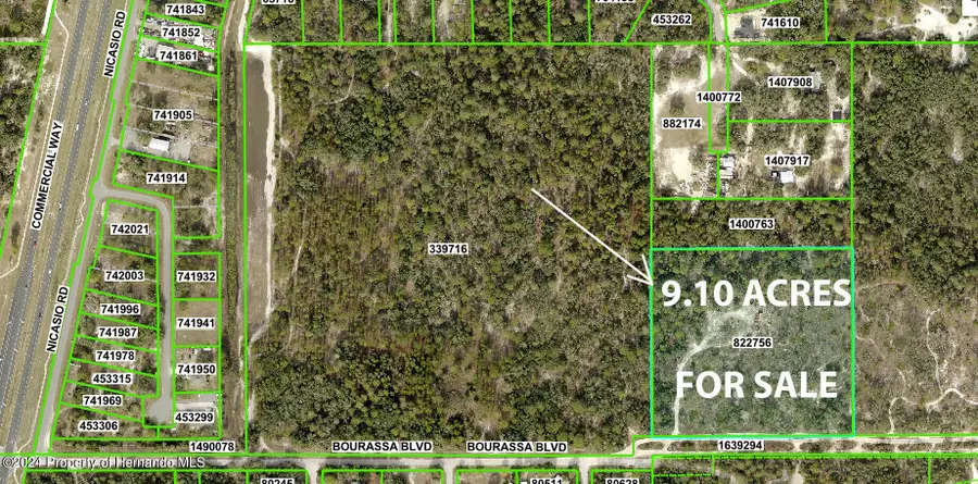 11011 Bourassa Boulevard, Weeki Wachee, FL 34613 - Image #3