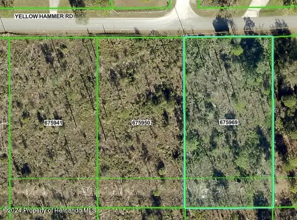 0 Yellow Hammer Road, Weeki Wachee, FL 34614