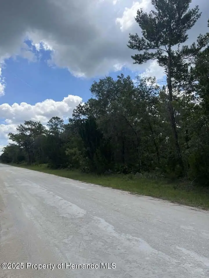 00 Ramsey Road, Brooksville, FL 34614 - #3