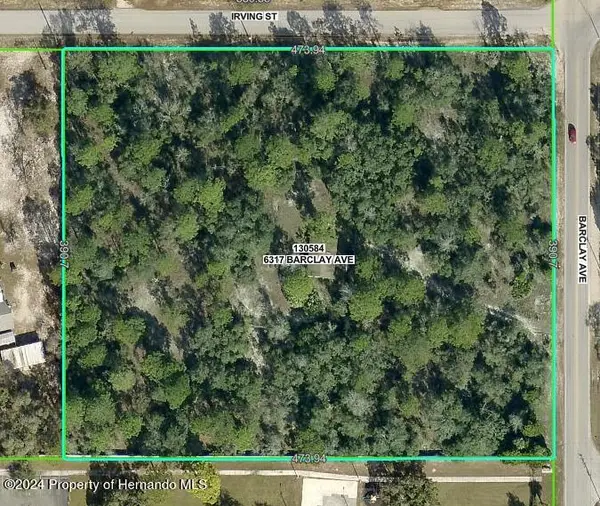 6317 Barclay Avenue, Spring Hill, FL 34609