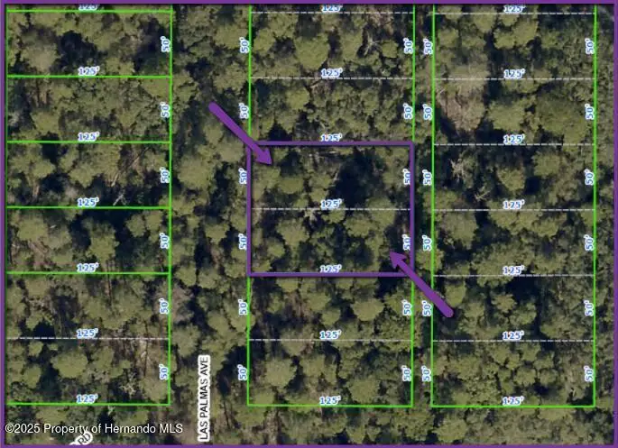 0 Las Palmas Avenue, Spring Hill, FL 34606 - Image #2