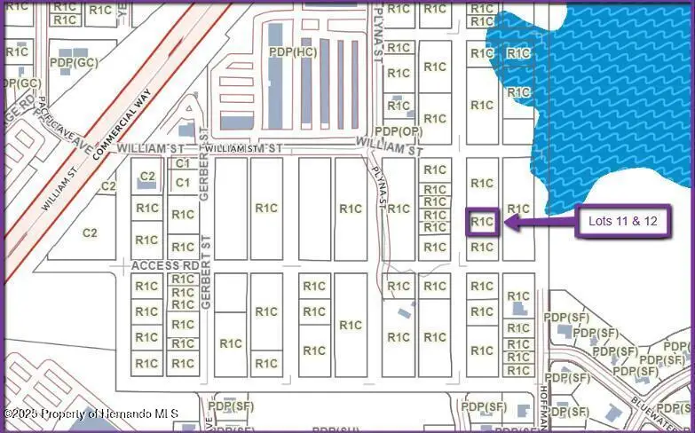 0 Las Palmas Avenue, Spring Hill, FL 34606 - Image #3