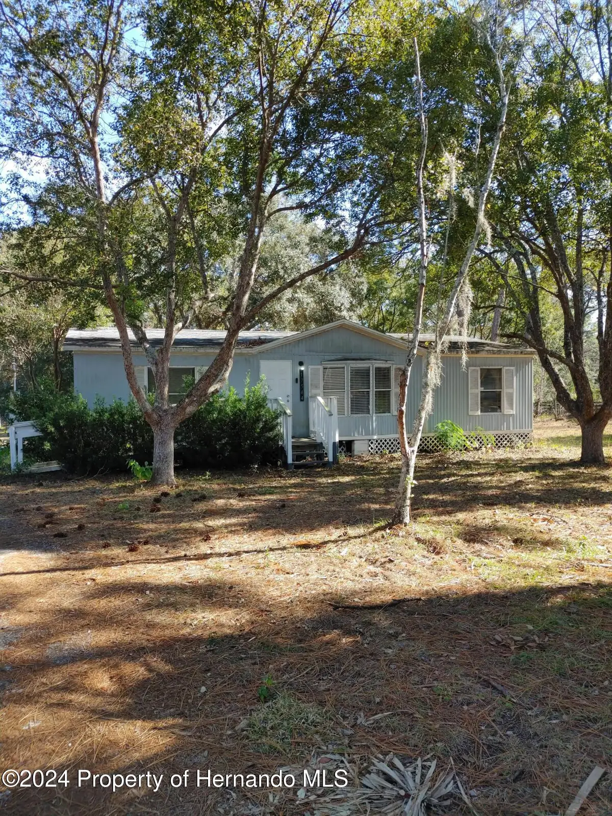 17544 Galveston Street, Shady Hills, FL 34610 - Image #1