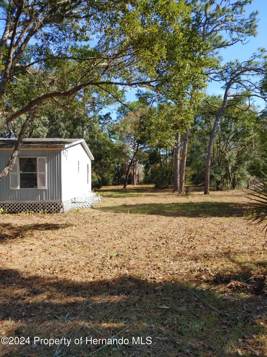 17544 Galveston Street, Shady Hills, FL 34610 - Image #3