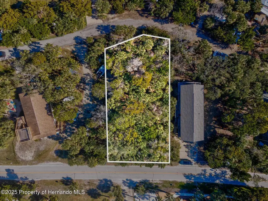 Lot 69 Pine Island Drive, Weeki Wachee, FL 34607 - Image #2