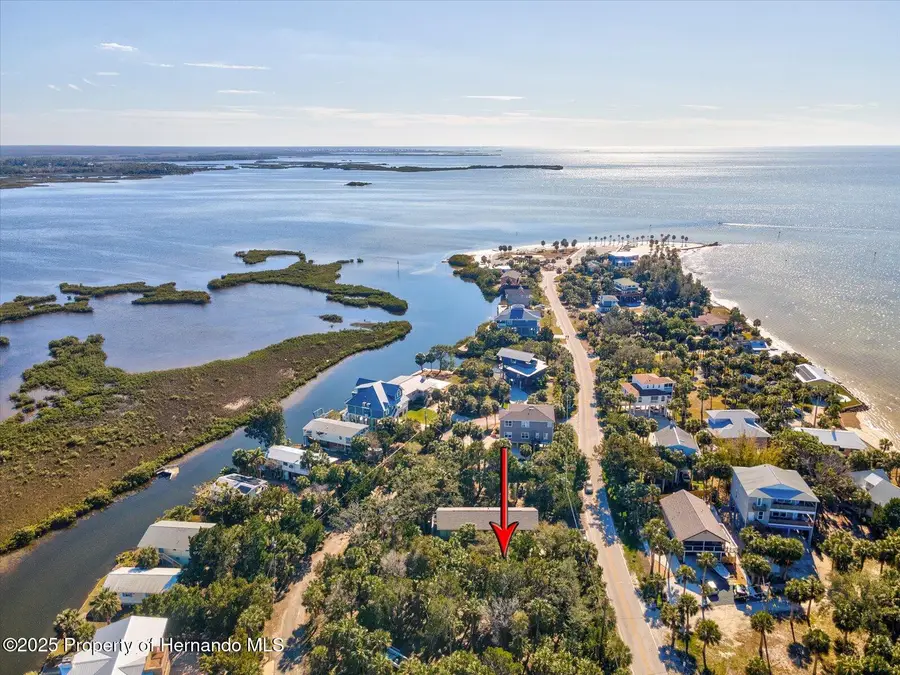 Lot 69 Pine Island Drive, Weeki Wachee, FL 34607 - Image #3