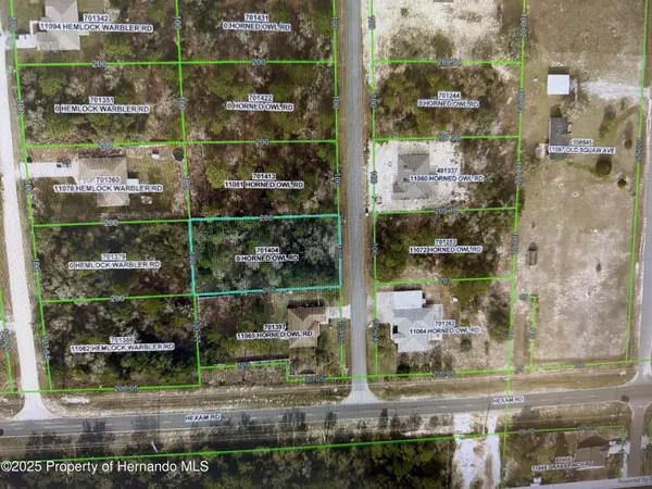 0 Horned Owl Road, Weeki Wachee, FL 34614