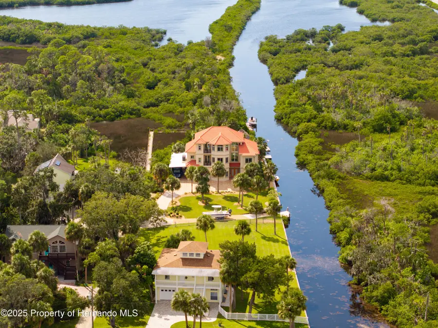 8731 Betty Street, Port Richey, FL 34668 - Image #3