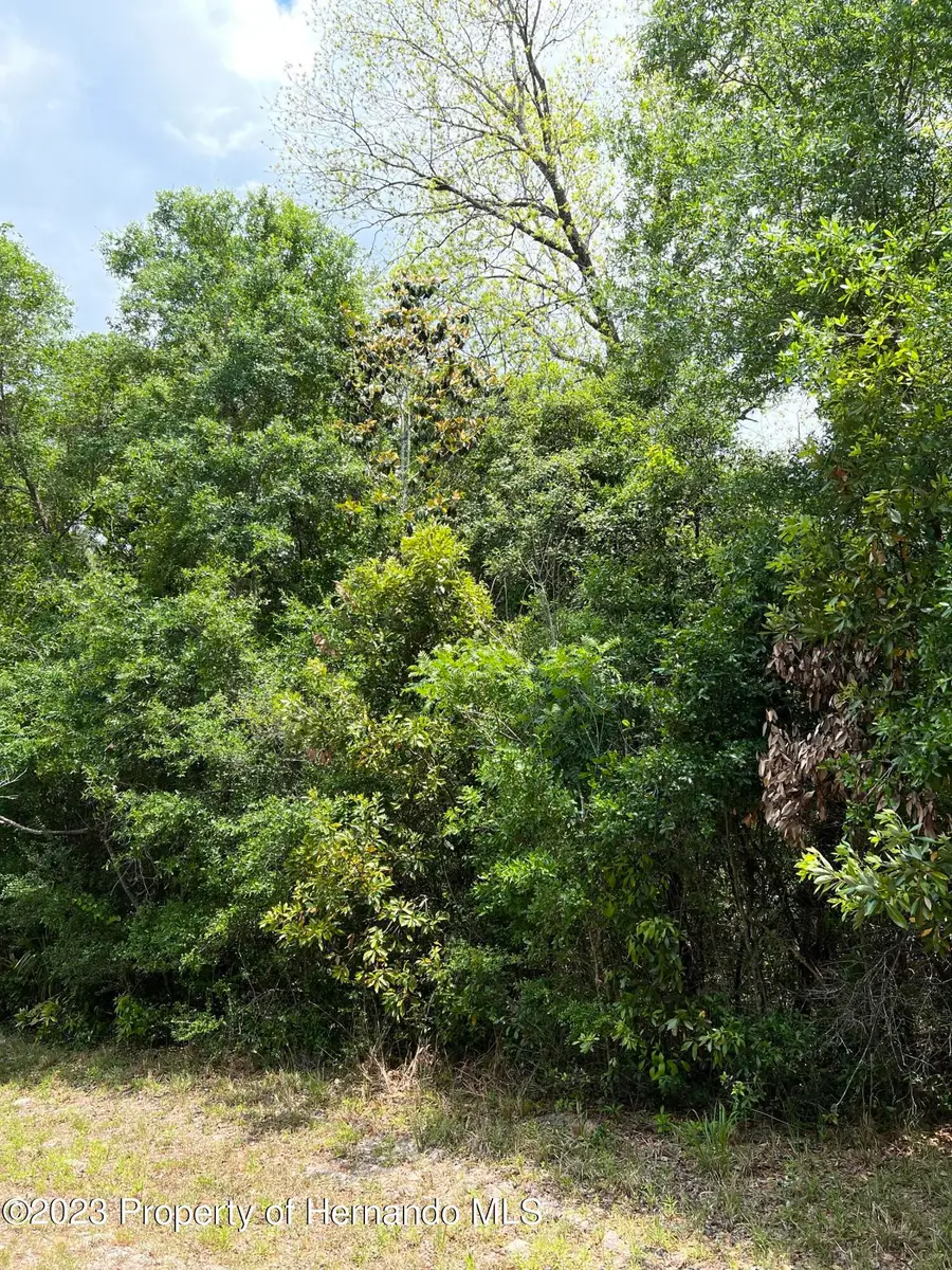 0 NW 70th Circle, Chiefland, FL 32626 - #2