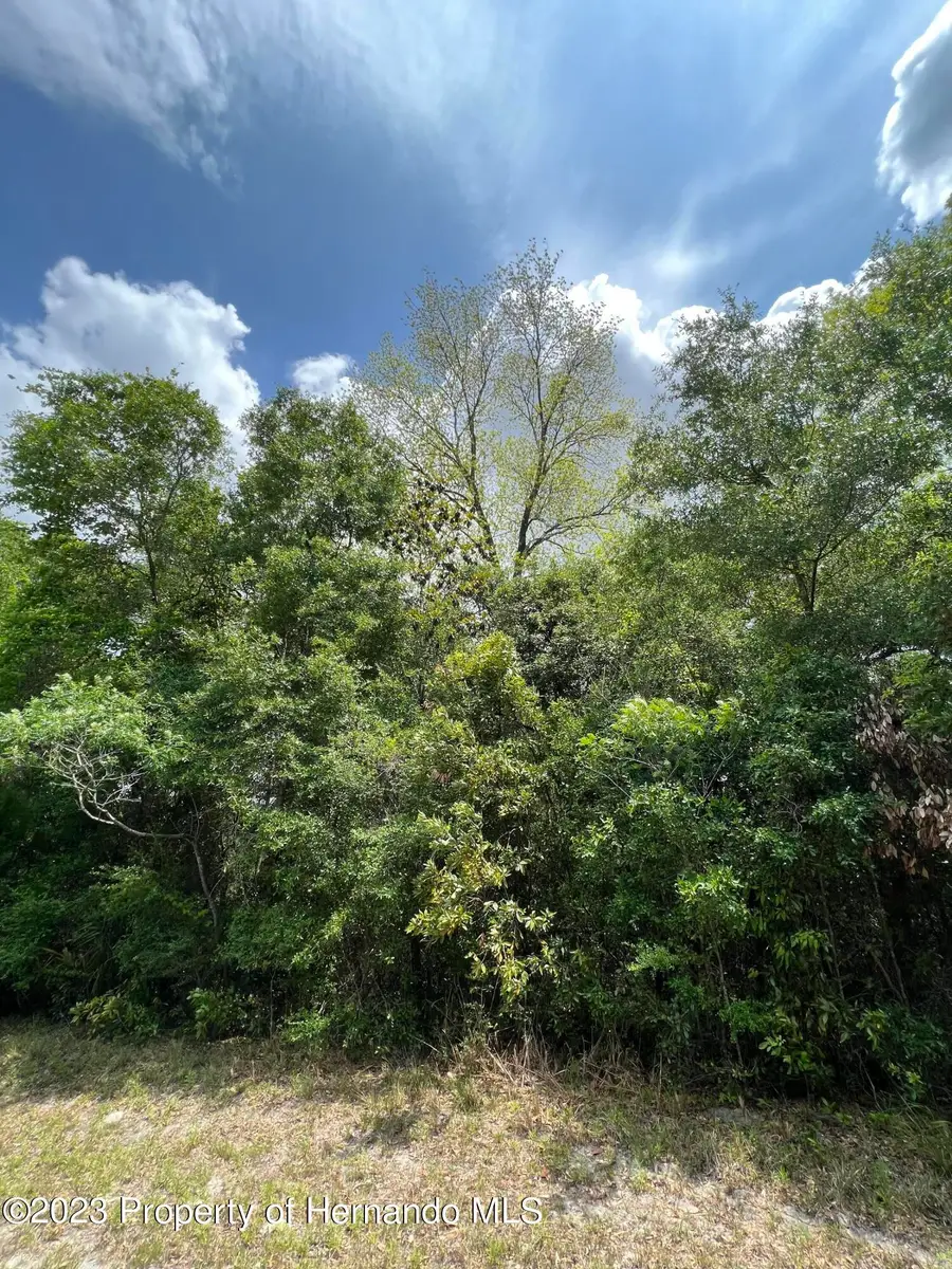 0 NW 70th Circle, Chiefland, FL 32626 - #3