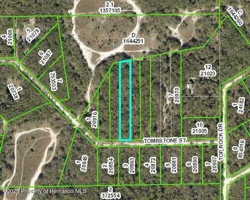 33441 Tombstone, Webster, FL 33597 - Image #1